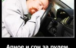 Апноэ и сон за рулем