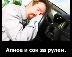 Апноэ и сон за рулем
