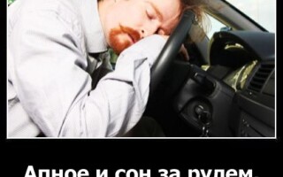 Апноэ и сон за рулем