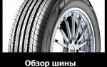 Обзор шины Maxxis Waltz MS800