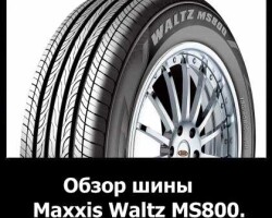 Обзор шины Maxxis Waltz MS800