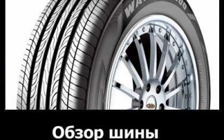 Обзор шины Maxxis Waltz MS800