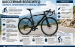 Шоссейный велосипед: как выбрать модель для скорости, тренировок и дальних поездок