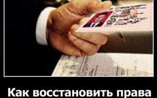 Как восстановить права после лишения?