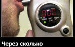 Через сколько выветривается алкоголь?